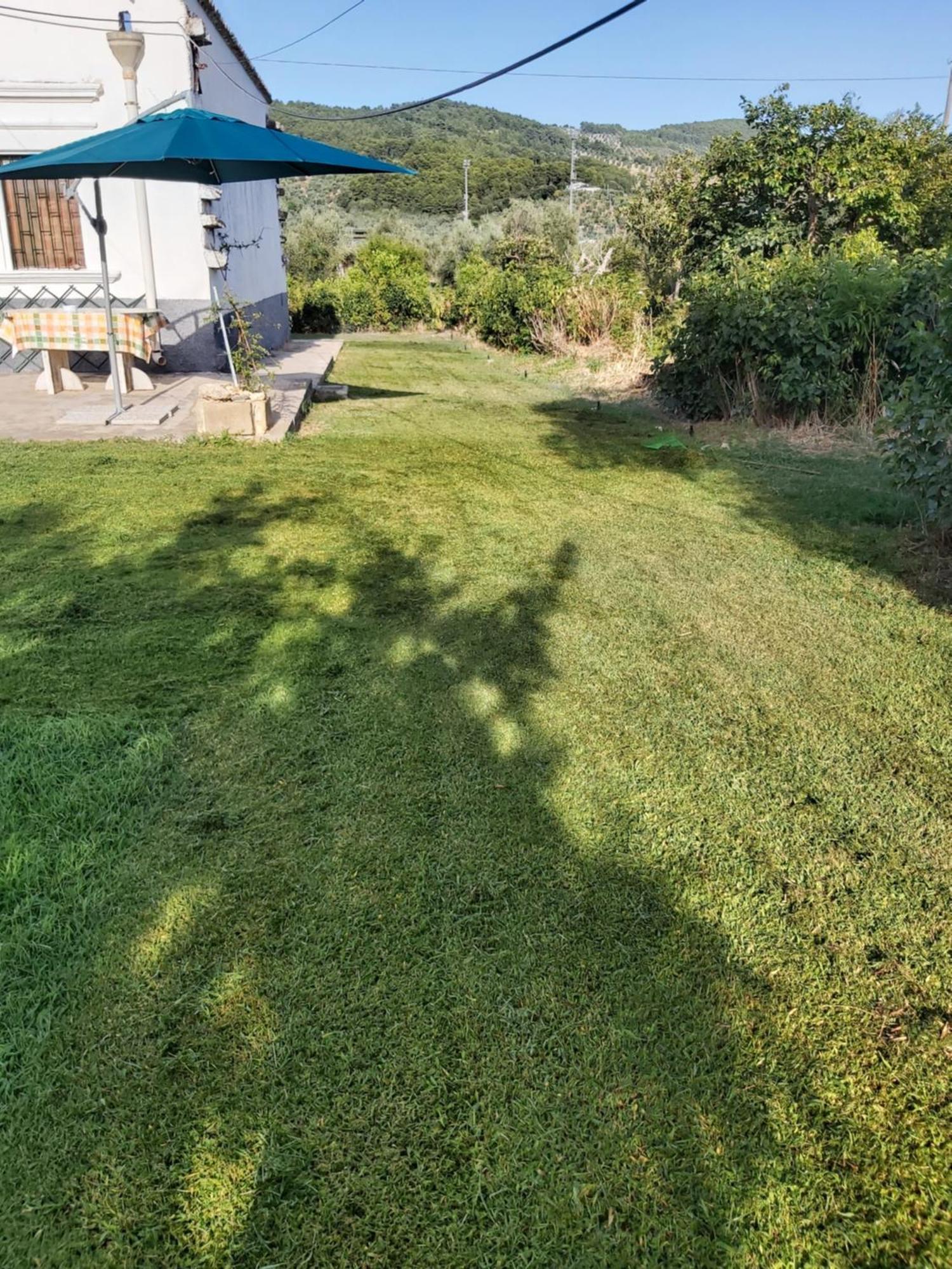 Casa Colonica Di Campagna Come Era Una Volta Villa Peschici Habitación foto